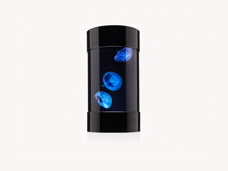 JL8 Desktop Jellyfish Aquarium Tank Kit for Live Jellyfish (Tank Only